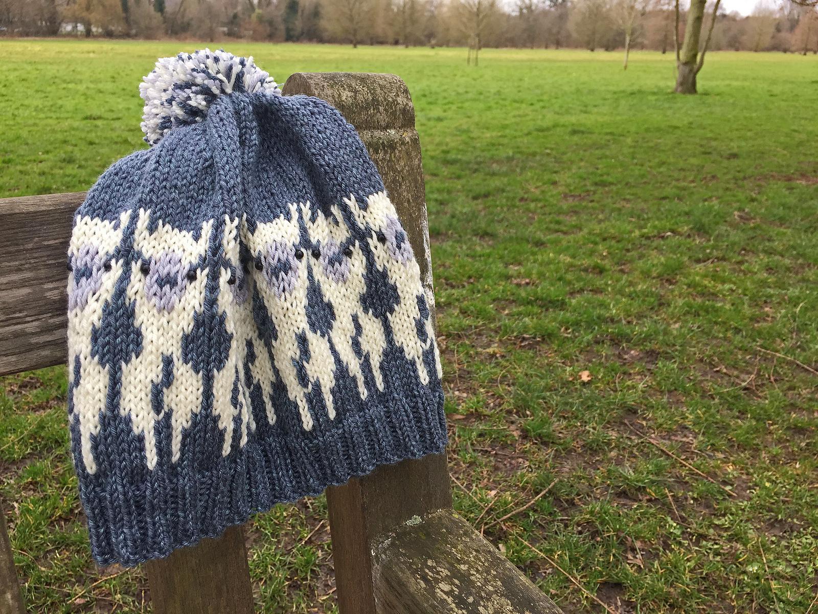 Alpacas on a Hat