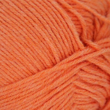 Sherbert (6973)