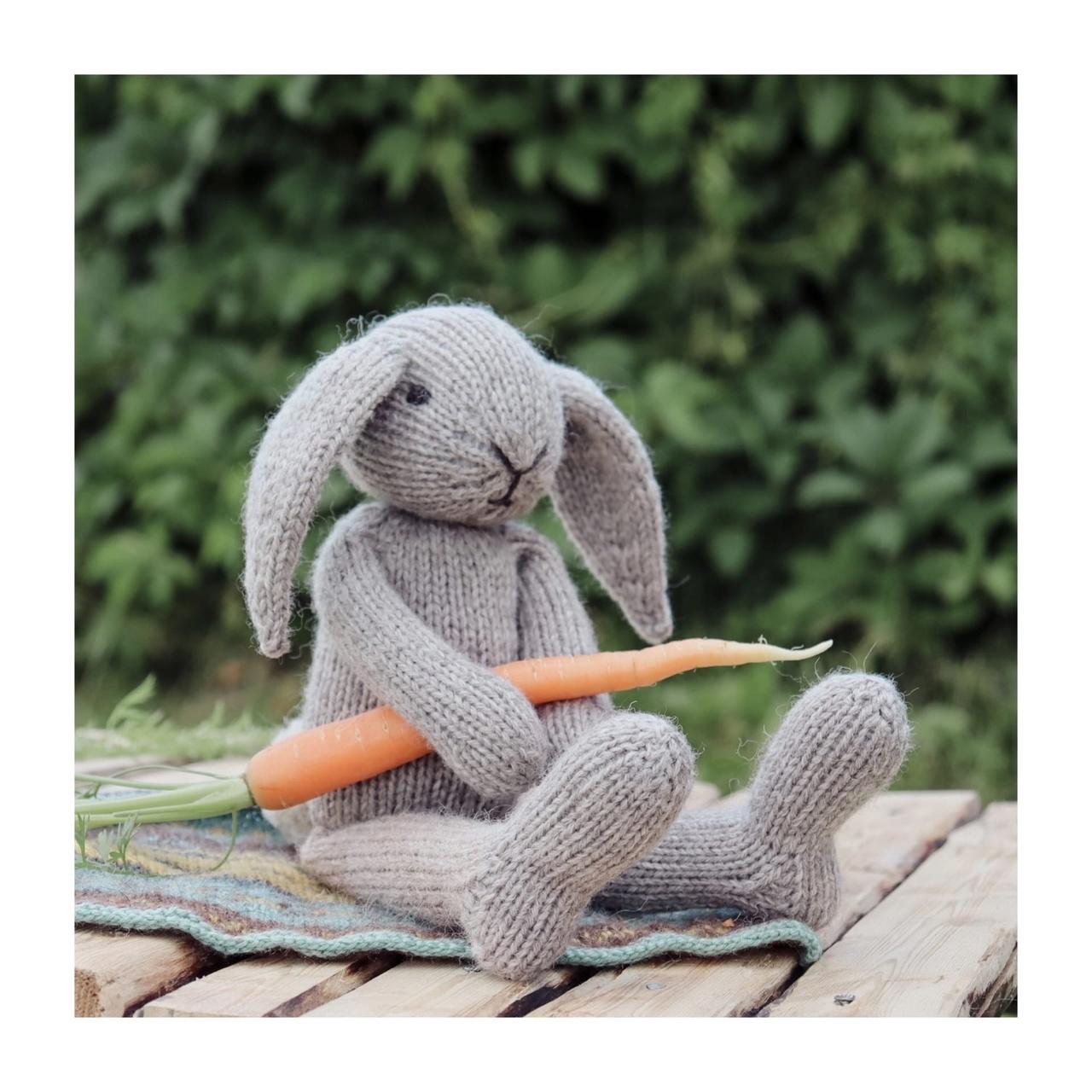 Bunny with Cozy Outfits