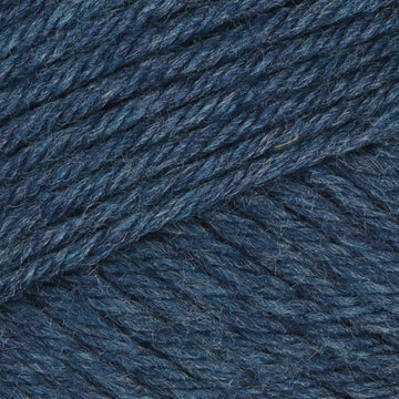 Delphonium (43138)