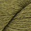 Turtle (2452)