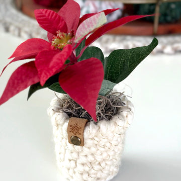 The Pirouette Planter 055