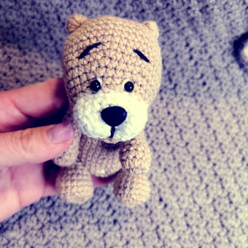 Pocket Bear