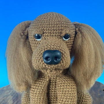 Cocker Spaniel King Charles Spaniel