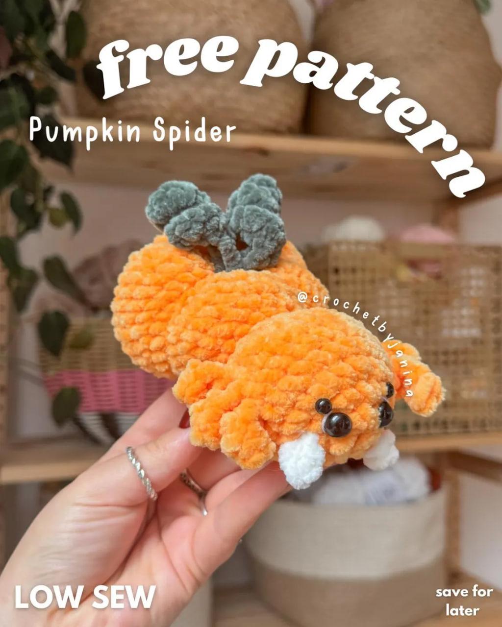 Pumkin Spider