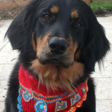 Bonny-Scarf