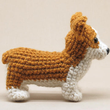 Choppie the Corgi