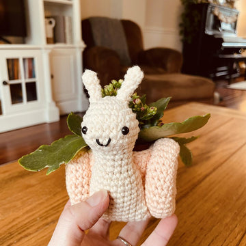 Snail Plant Holder