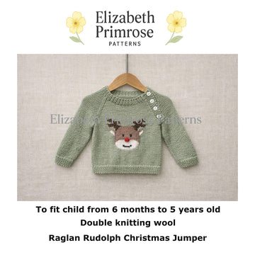 Raglan Rudolph Christmas Jumper P191