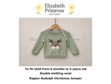 Raglan Rudolph Christmas Jumper P191