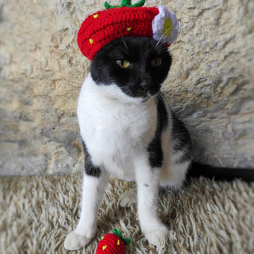 Strawberry Cat Hat