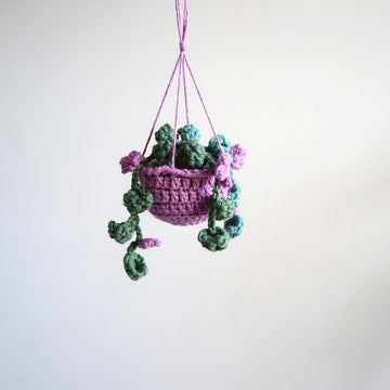Hanging Plant with Flowers