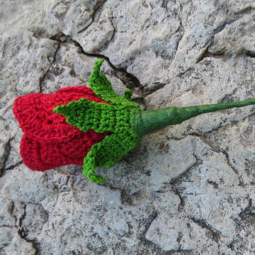 Rose bud