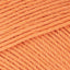 Apricot (495)