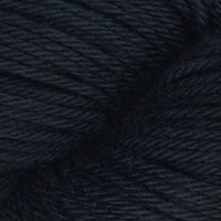 Black Eyed Susan (8434)