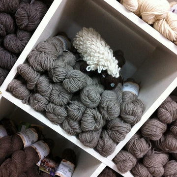 Sheep