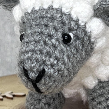 Minty the Sheep