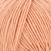 Apricot (20)