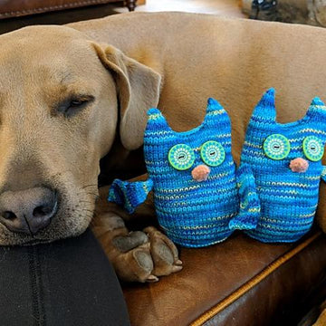 The owl gang
