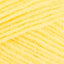 Acid Yellow (060)