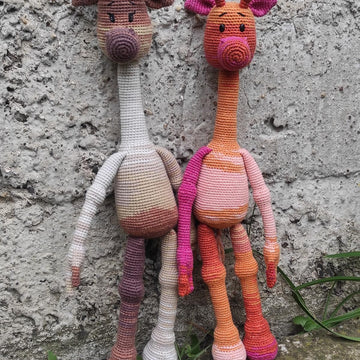 Alex the Giraffe