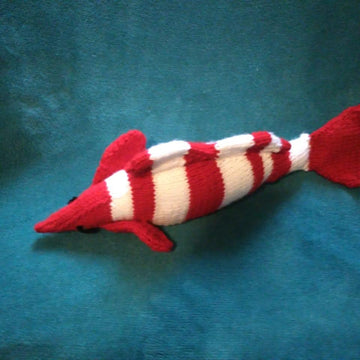 Fish, finding Nemo