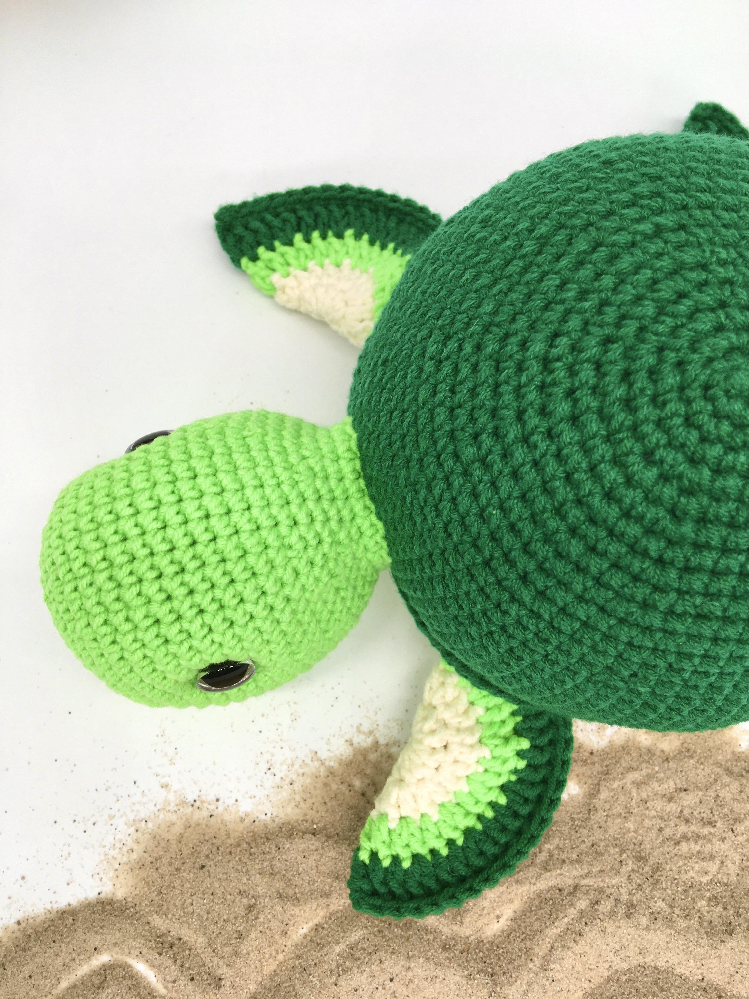 Timmy the Turtle