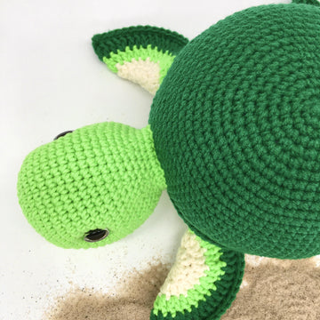Timmy the Turtle