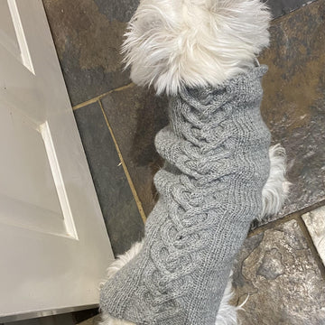 Dog Jumper - Haggis
