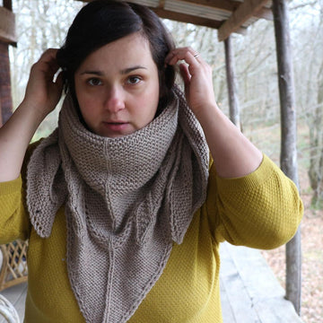 Trophy Shawl Revisited