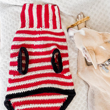 Doggo no 14 sweater