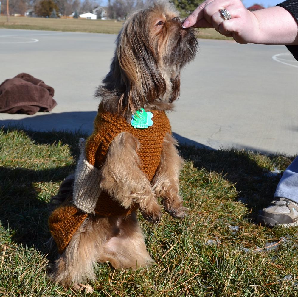 Dog Bone Sweater