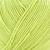 Spring Leaf (24)