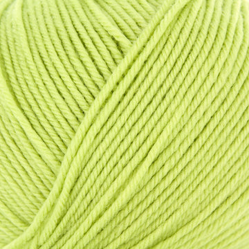 Spring Leaf (24)