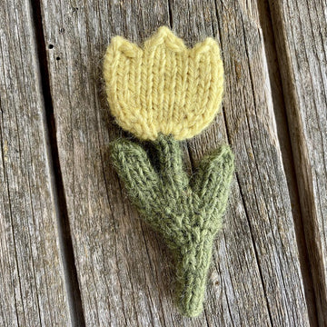 Tulip