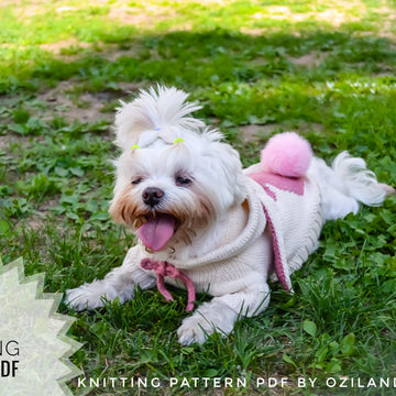 Easter bunny hoodie for dog