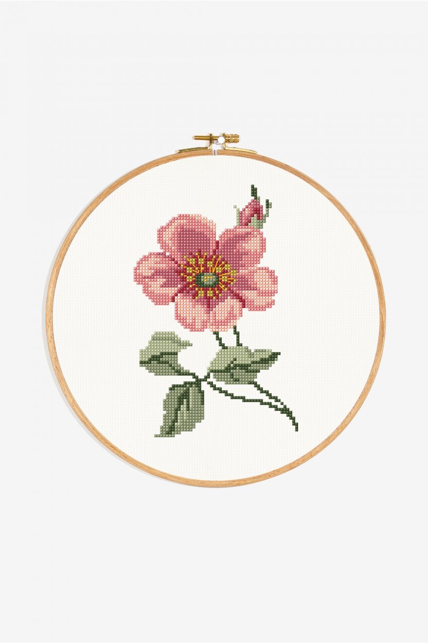 DMC Anemone - PAT1273 - Downloadable PDF