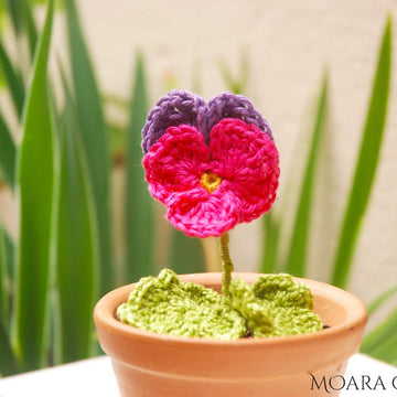 Crochet Pansy