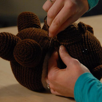 Teddy the Bear