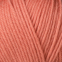 Raspberry (3349)