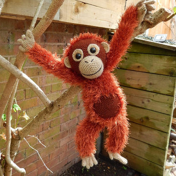 Orwell the Orangutan