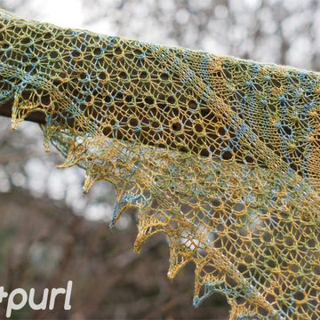 Libelula shawl