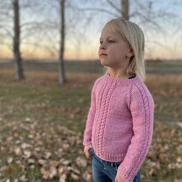 Simple Raglan Cable Sweater