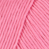 Flamingo (#1077)