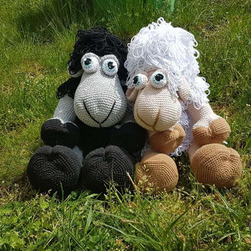 Daisy the sheep