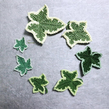 Variegated ivy leaves
