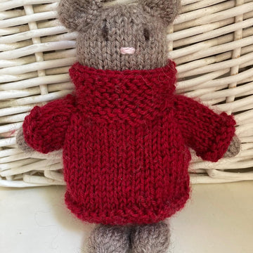 Little Bear in Jumper