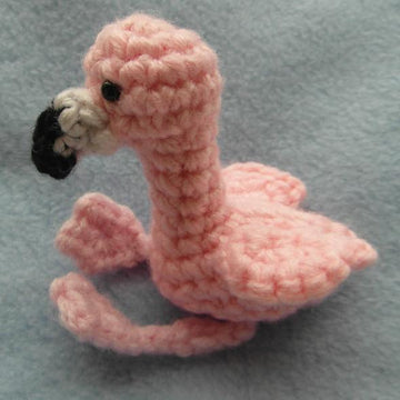 Roy the Flamingo