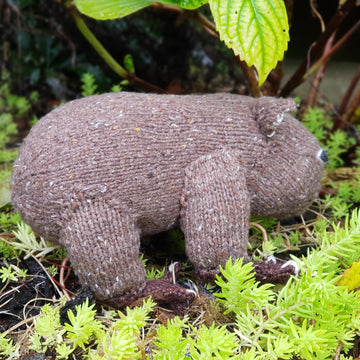 Australian Wombat