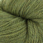 Moss (0203)